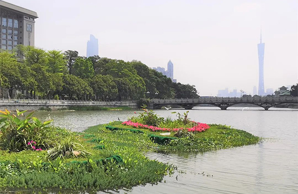湖泊环境治理达至人水和谐的技术思路｜广州东山湖生态修复访谈录