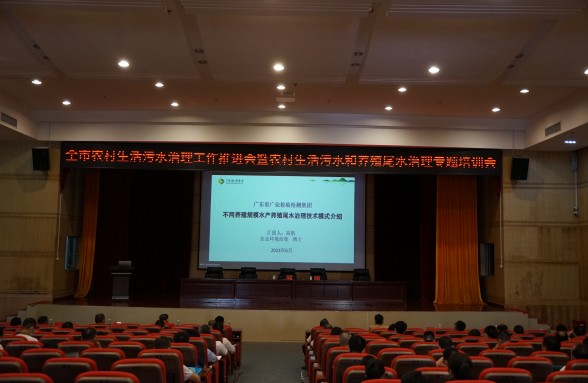 海洋牧场，生态先行，省环保基金会助力阳江建设海洋牧场