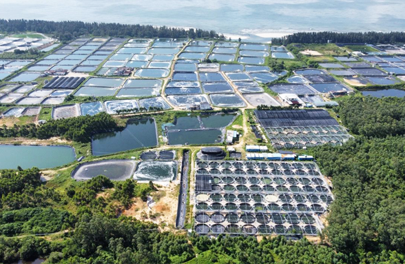 我司中标阳江市阳西县海水养殖尾水治理示范项目的设计服务